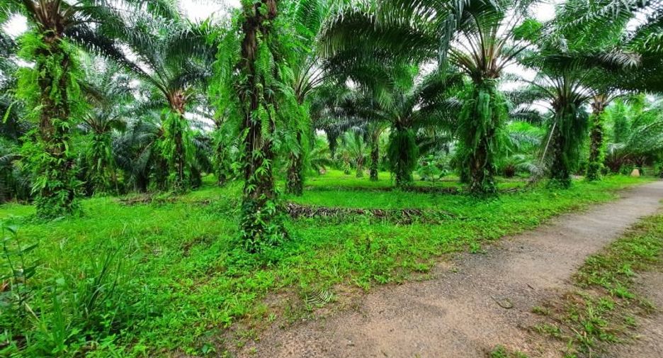 Terreno en venta en Ao Luek, Krabi