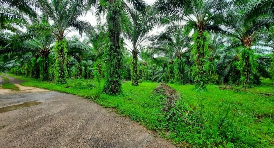 Terreno en venta en Ao Luek, Krabi