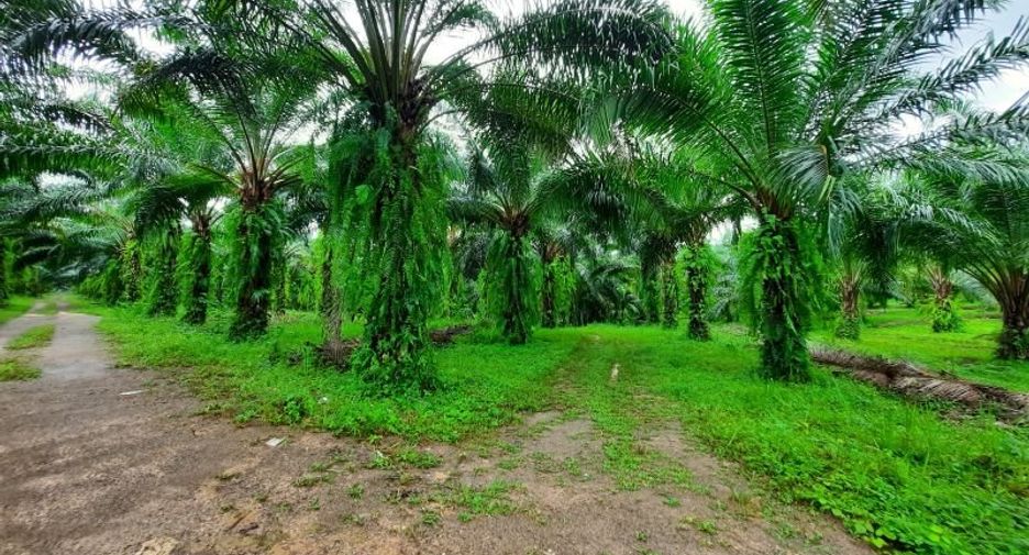 Terreno en venta en Ao Luek, Krabi