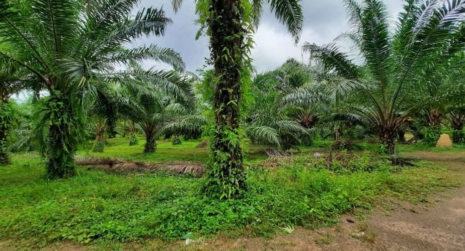 Terreno en venta en Ao Luek, Krabi
