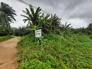 For sale land in Ao Luek, Krabi