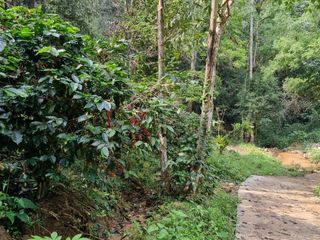 For sale land in Mae On, Chiang Mai