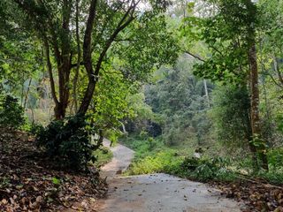 For sale land in Mae On, Chiang Mai