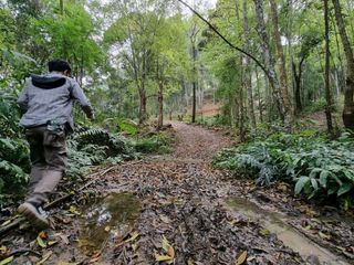 For sale land in Mae On, Chiang Mai
