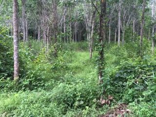 For sale land in Thai Mueang, Phang Nga