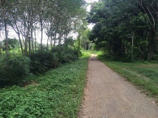 For sale land in Thai Mueang, Phang Nga