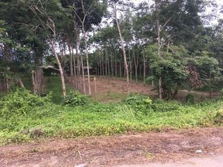 For sale land in Thai Mueang, Phang Nga