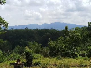 For sale land in Thai Mueang, Phang Nga