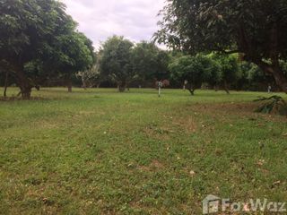 For sale land in Mueang Chiang Mai, Chiang Mai