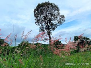 For sale land in Sattahip, Chonburi