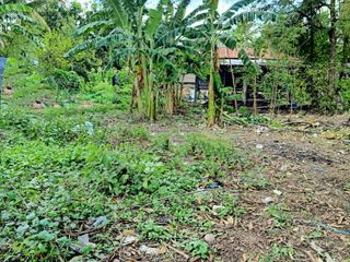For sale land in Prang Ku, Sisaket