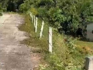 For sale land in Thalang, Phuket