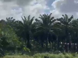 For sale land in Thalang, Phuket