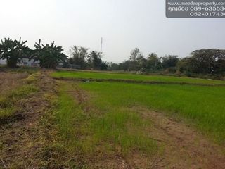 For sale land in Mae Sai, Chiang Rai