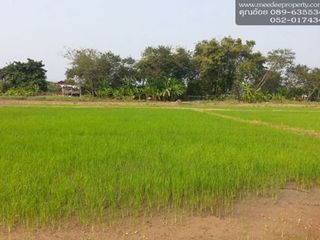 For sale land in Mae Sai, Chiang Rai