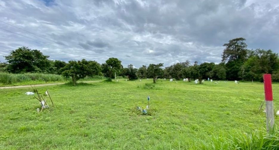 Terreno en venta en San Sai, Chiang Mai
