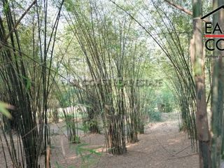 出售 土地 在 Bang Lamung, Chon Buri