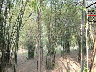 出售 土地 在 Bang Lamung, Chon Buri