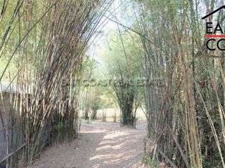 出售 土地 在 Bang Lamung, Chon Buri