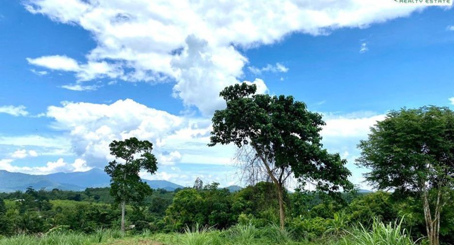 For sale land in Pong Nam Ron, Chanthaburi