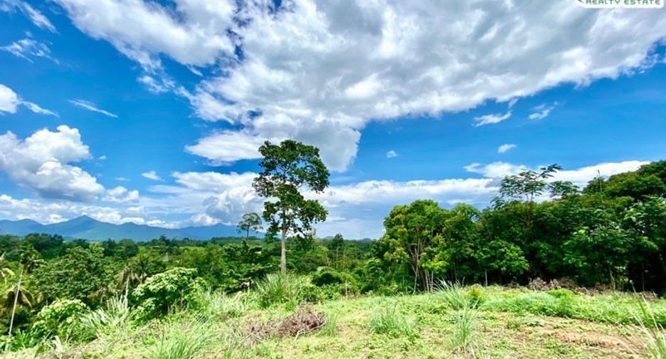 For sale land in Pong Nam Ron, Chanthaburi