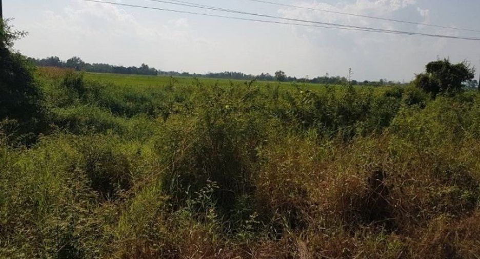 For sale land in Mueang Uttaradit, Uttaradit