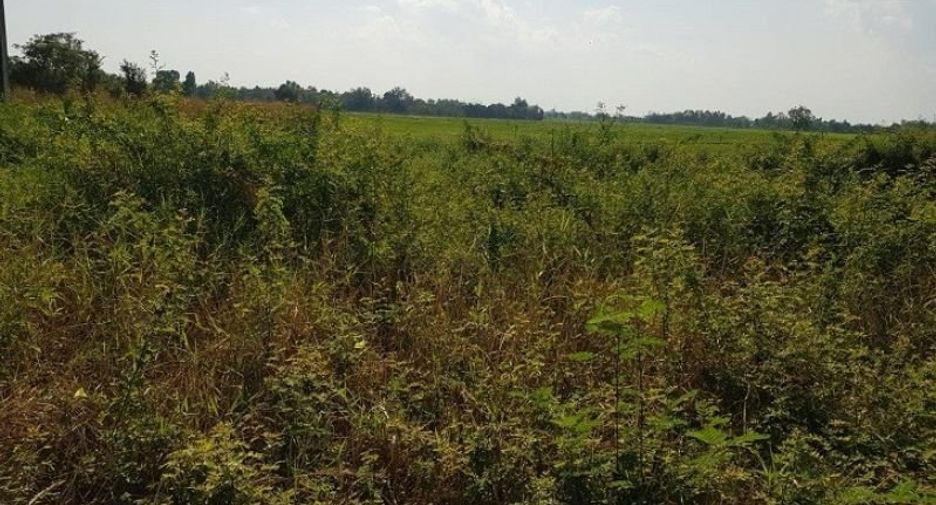 For sale land in Mueang Uttaradit, Uttaradit