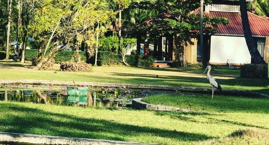 For sale 20 Beds retail Space in Takua Pa, Phang Nga