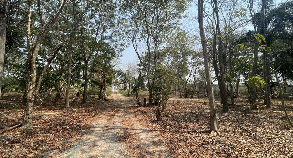 For sale land in Hua Hin, Prachuap Khiri Khan