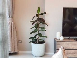 For sale 2 bedrooms condo in Sathon, Bangkok
