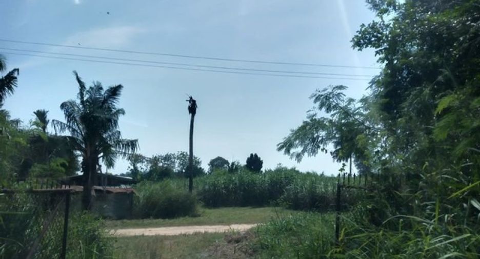 ขาย ที่ดิน ใน บ้านบึง, ชลบุรี
