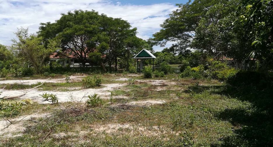 For sale land in Mae Wang, Chiang Mai