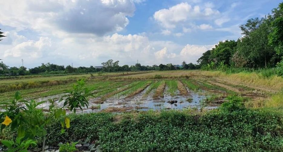 For sale land in Pak Kret, Nonthaburi