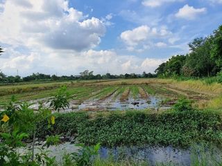 For sale land in Pak Kret, Nonthaburi