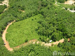 For sale land in Thalang, Phuket