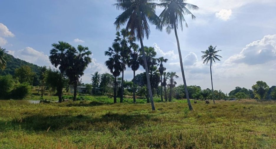 出售 土地 在 Bang Lamung, Chon Buri