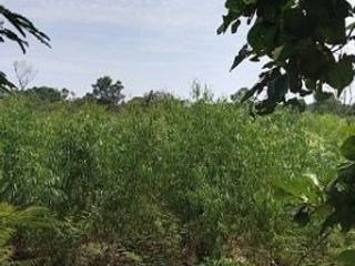 For sale land in Kham Ta Kla, Sakon Nakhon