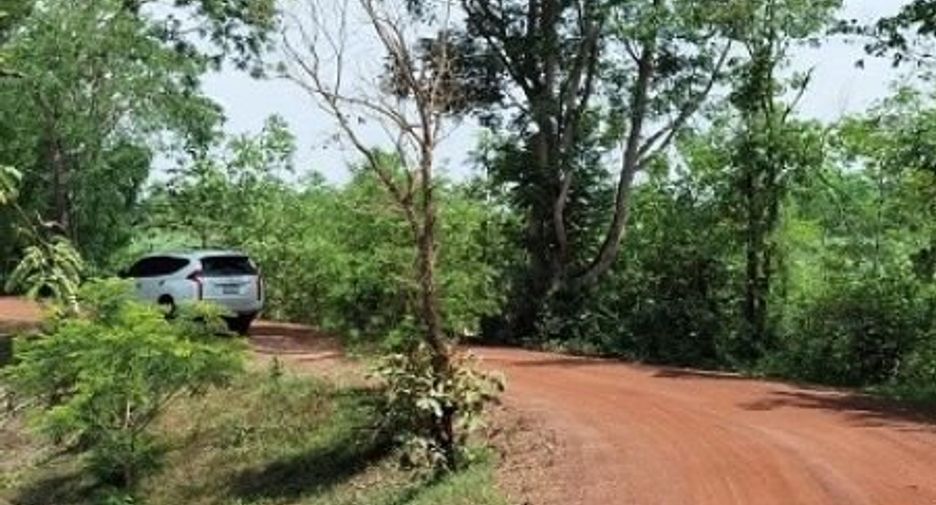 For sale land in Kham Ta Kla, Sakon Nakhon