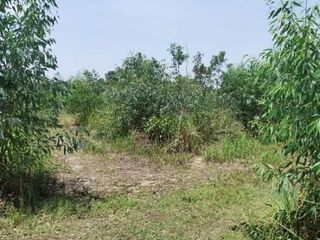 For sale land in Kham Ta Kla, Sakon Nakhon