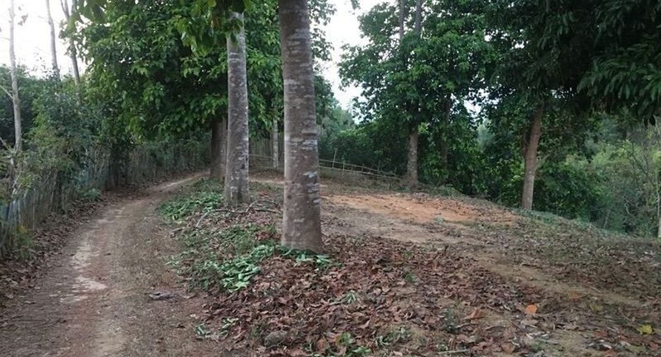 For sale land in Thung Chang, Nan