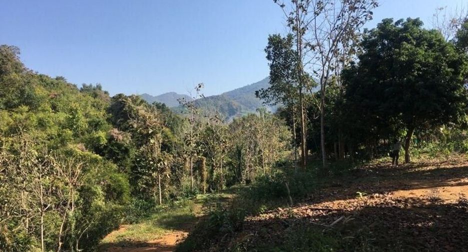 For sale land in Thung Chang, Nan