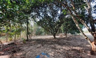 For sale land in Bang Lamung, Chonburi