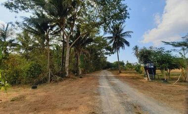 For sale land in Bang Lamung, Chonburi