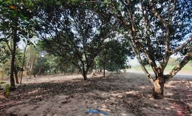 For sale land in Bang Lamung, Chonburi