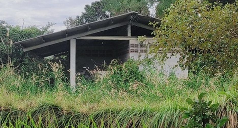For sale warehouse in Phibun Mangsahan, Ubon Ratchathani
