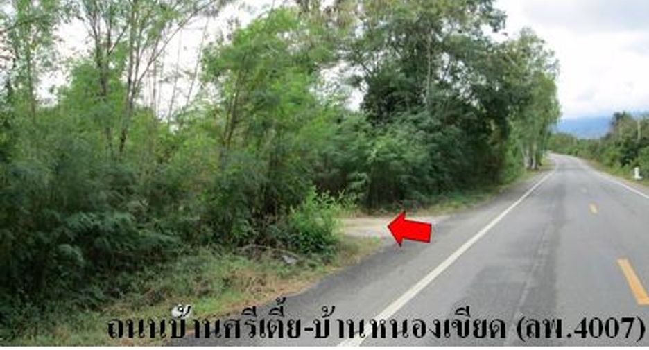 For sale land in Ban Hong, Lamphun