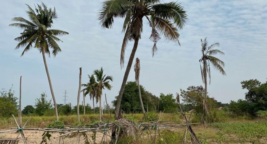 出售 土地 在 Sattahip, Chon Buri