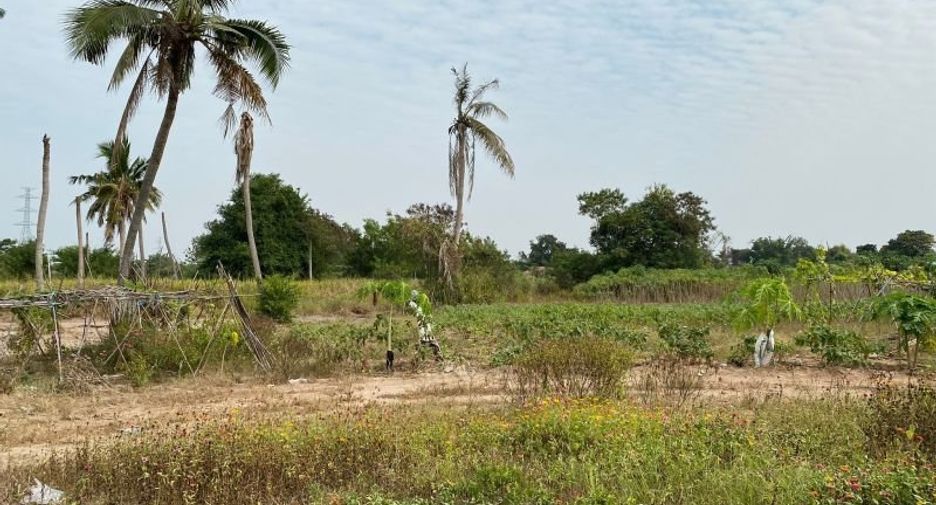 出售 土地 在 Sattahip, Chon Buri