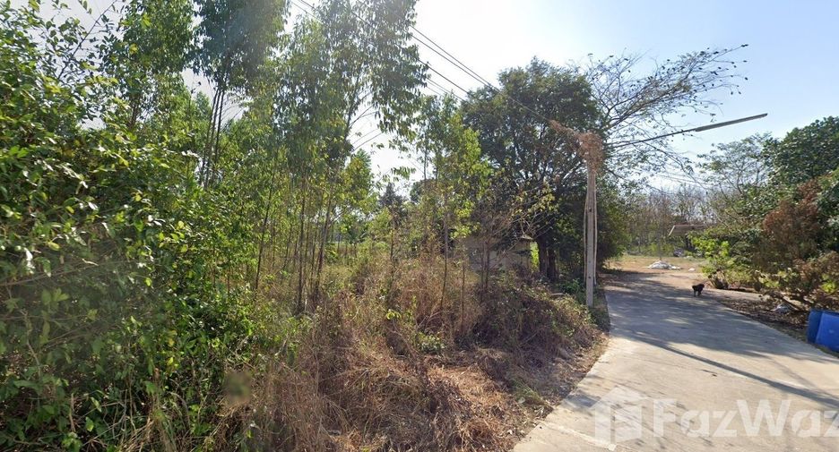 ขาย ที่ดิน ใน บ่อทอง, ชลบุรี
