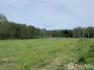 For sale land in Thalang, Phuket